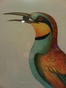 IMG00071-20100724-1934